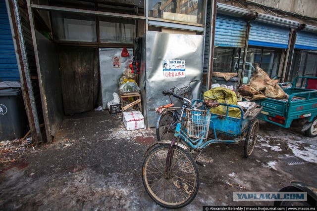 Продуктовые рынки в России и Китае