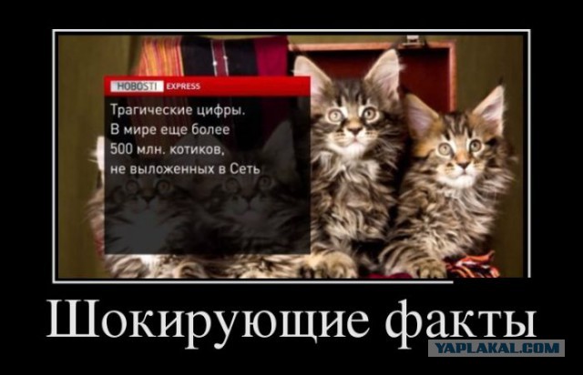 Очередная порция картинок из сети