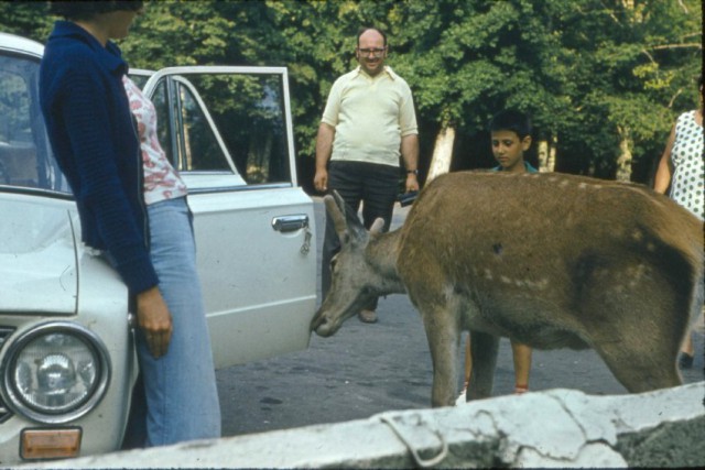 Советский город-курорт Сочи