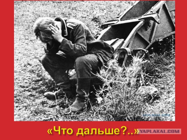 "Коричневая чума" в цвете.(продолжение)