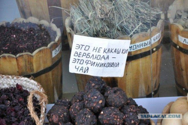 Весёлости в картинках