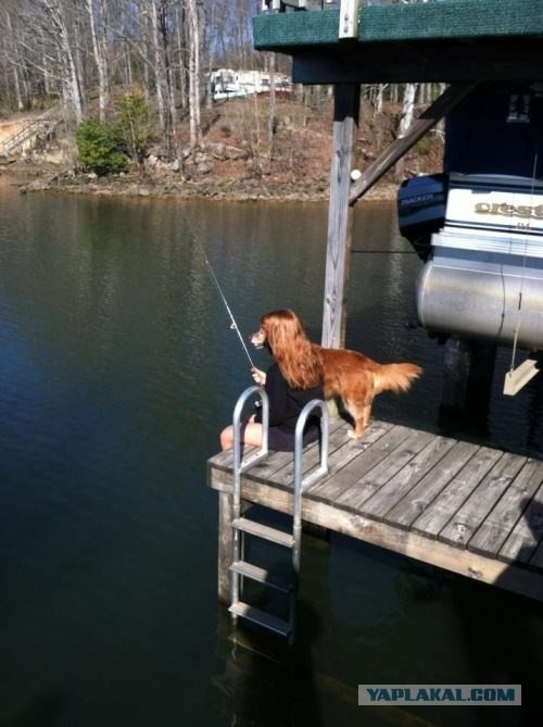 Показалось