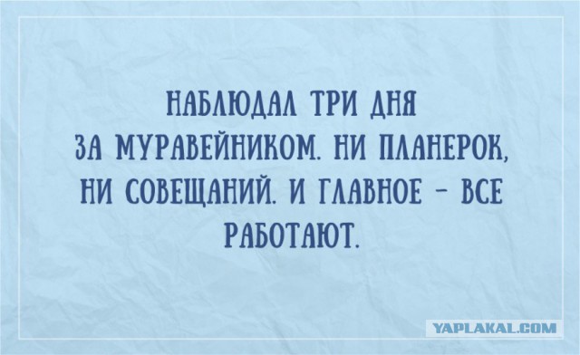 Весёлые картинки
