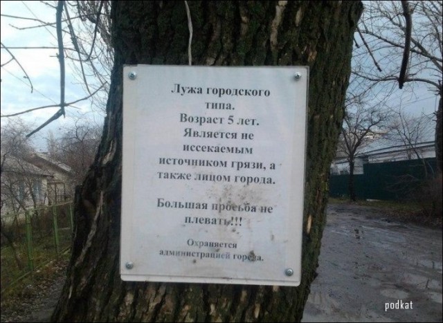 Смешные объявления и надписи