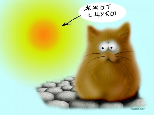 Коты, кошки, котята