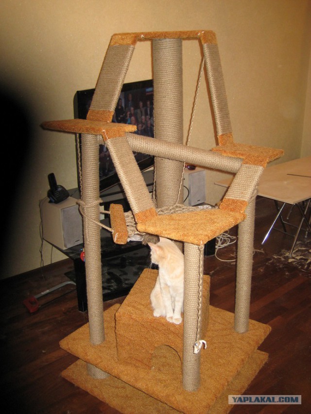 Кошкин дом - он такой