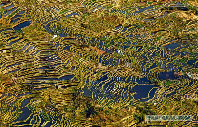 National Geographic: лучшие фото путешественников