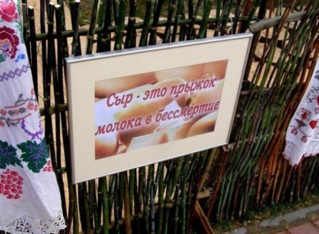 Народный креатив в вывесках, рекламах и пр.