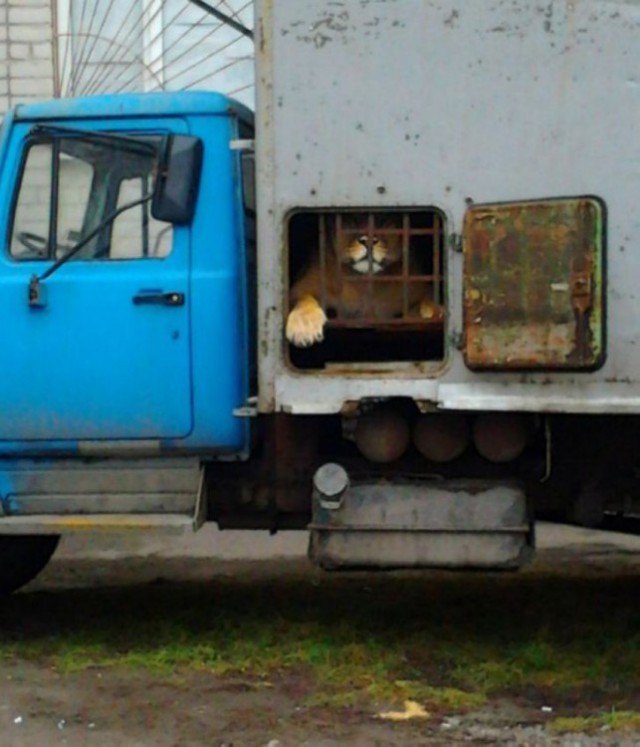 Взгляд