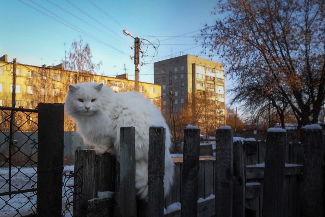 Подборка "тёплых, уютных, домашних" фотографий. Часть 5