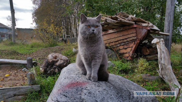Сказки крайнего севера. Кольский полуостров 2016