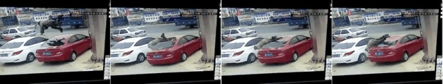 @ля, понаставят тут