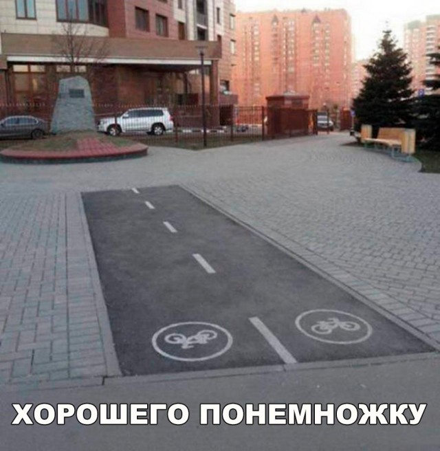 Подборка безудержного веселья