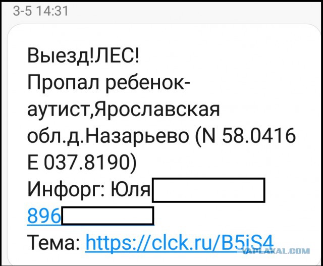 Волонтеры считают, что пропавшего в Ярославской области мальчика можно было спасти.