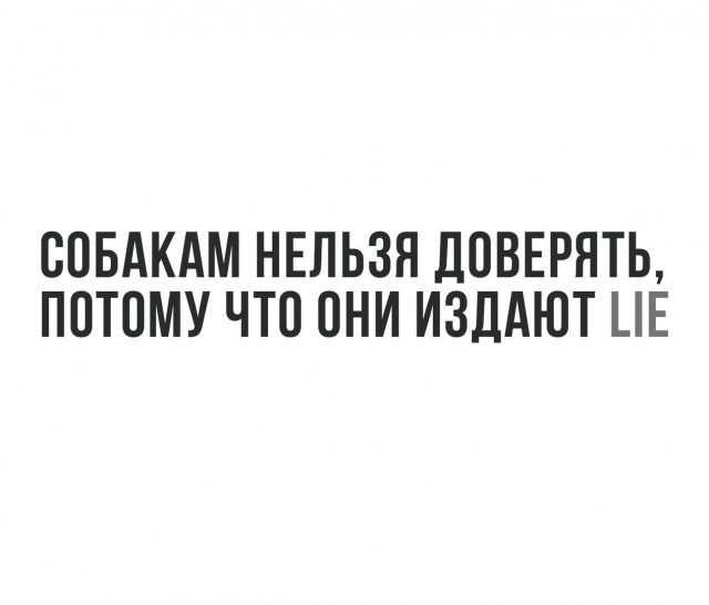 Очередная порция перлов из сети