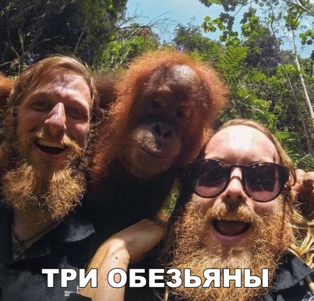 Подборка интересных и веселых картинок