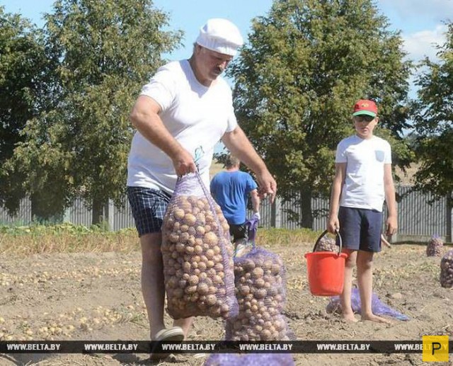 Траты на еду