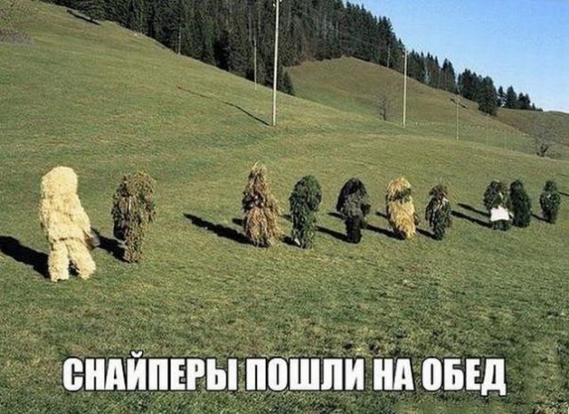 Всякая всячина