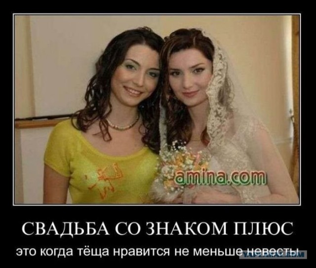 Фичи моей тёщи.