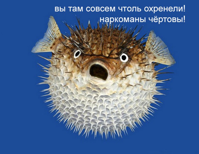 Как звучит супертонкий лед