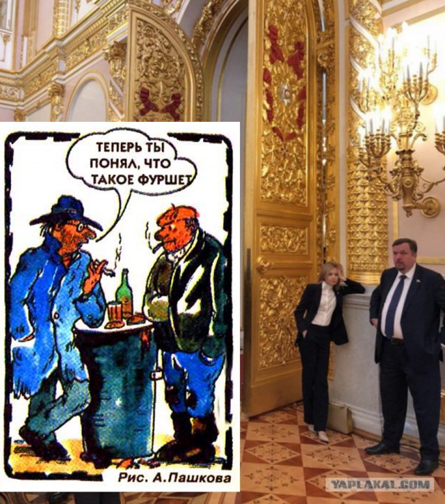 Фотожабы на "скучающую, ждущую Поклонскую"