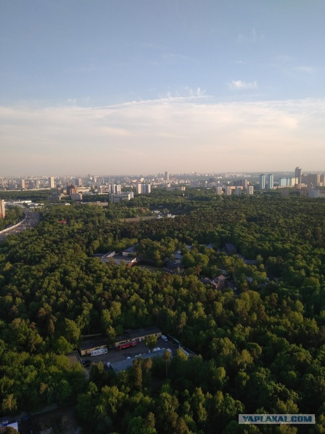 Нашел  работника  с авито на свою голову