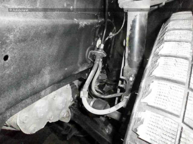 Морда на замену