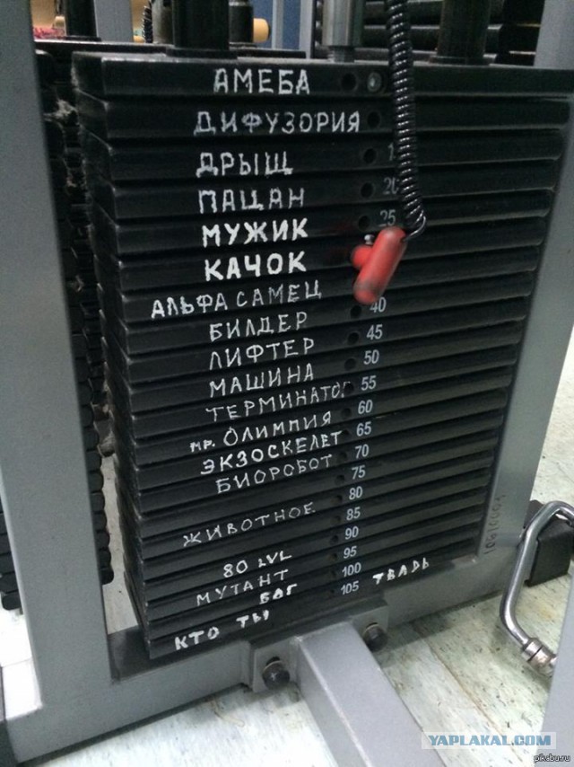 Чего только не бывает... Или что можно увидеть в качалке.