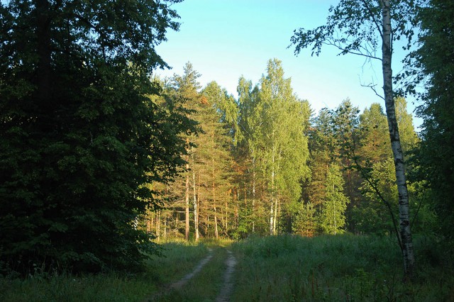 Деревенская Америка - 4