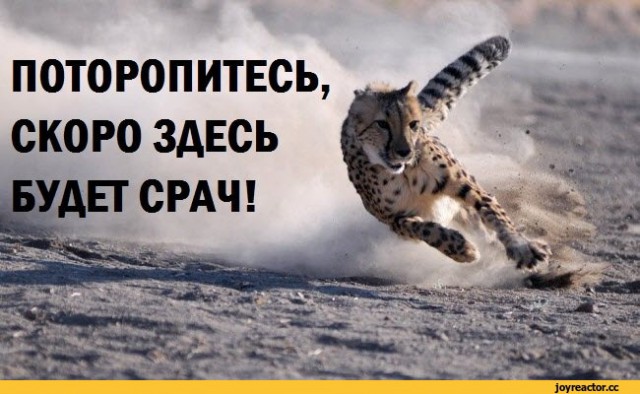 Измена: была не была. А брак распался