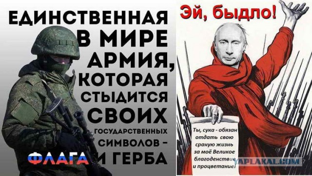 Что пригодится новобранцу?
