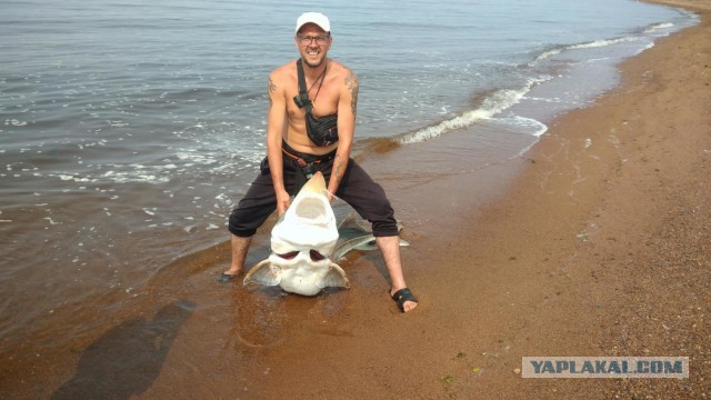 Ловись рыбка большая... маленькая не ловись