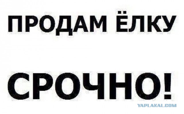 А вы говорите "телевизор"...