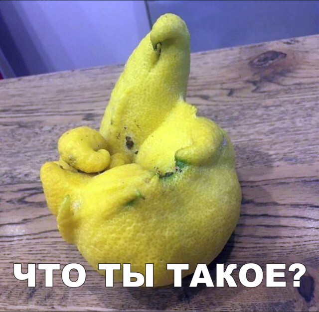 Нестандартный юмор