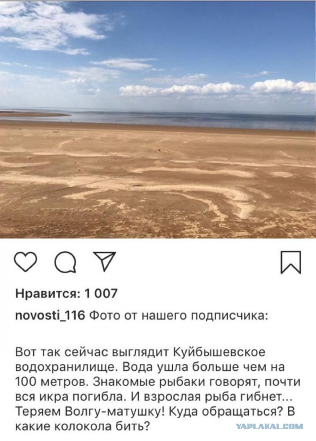 Обмеление Волги грозит экокатастрофой