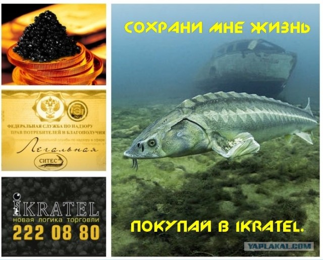 Конкурс на лучшую фотожабу против браконьеров.