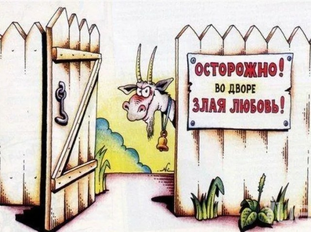 «С бабами общаешься? Ублюдок, я слышу, как ты к Софи клеишь». Переписка бывшего доцента СпбГУ Олега Соколова с Анастасией Ещенко