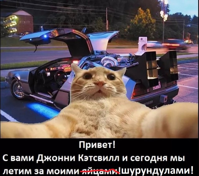 Приключения Джонни Кэтсвилла