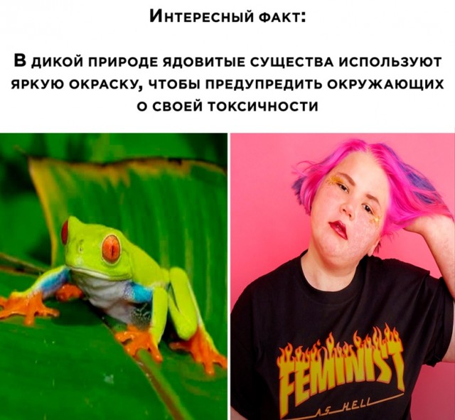 Весёлый полтишок 24.03