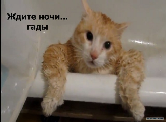Тима, давай!