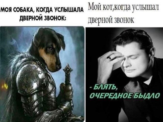 Сосаити (общество как оно есть)