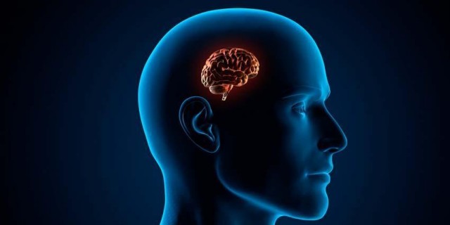 60 удивительных фактов о природе