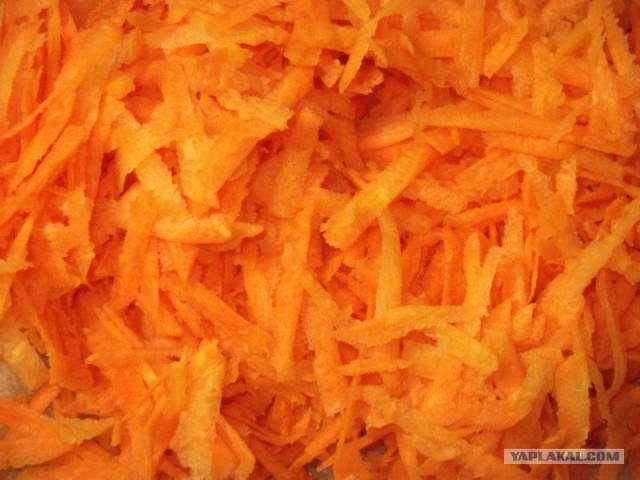 Фасоль – International, Или «Веселые нотки»