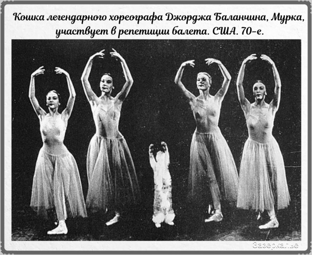 Редкие исторические фотографии 14.08.21