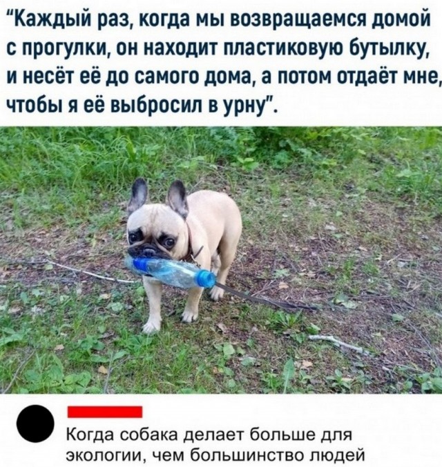 Картинки и мемы для настроения