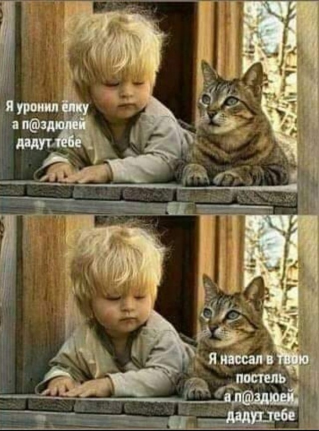 Картинки и мемы для настроения 14.08.2021
