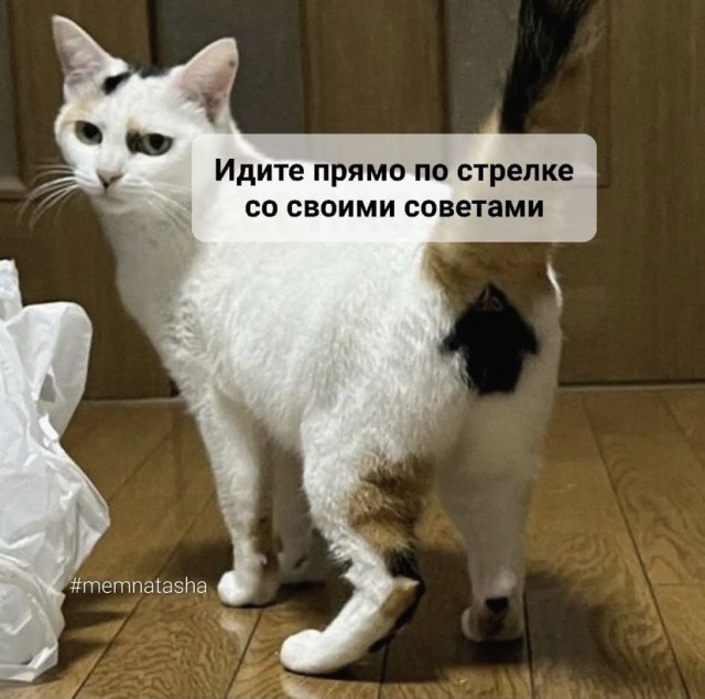 Картинки и мемы для настроения 13.12.2021