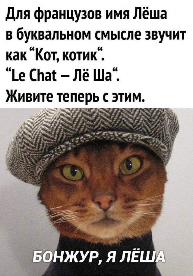 Подборка картинок для настроения 10.01.22