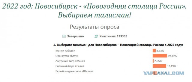 Медвежонок против орангутана: мэрию Новосибирска обвинили в коррупции на выборах новогоднего талисмана города