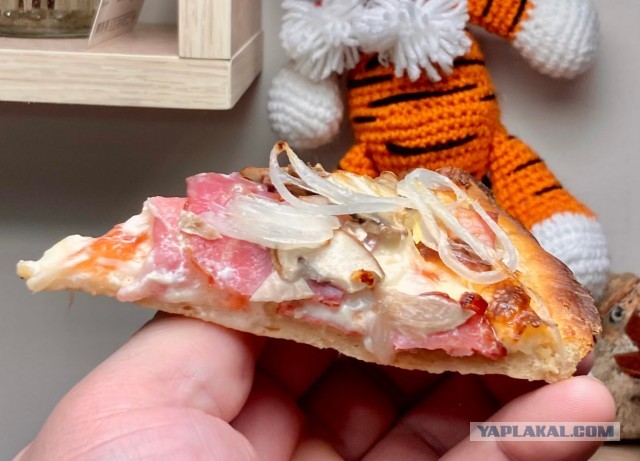 Простенькая пицца в конвекционной печи